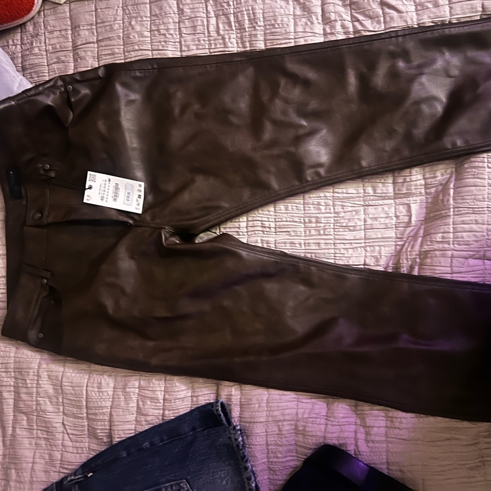 Zara Brown Leather Pants